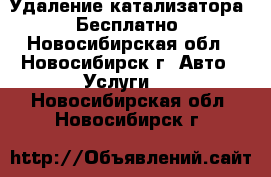 Удаление катализатора - Бесплатно - Новосибирская обл., Новосибирск г. Авто » Услуги   . Новосибирская обл.,Новосибирск г.